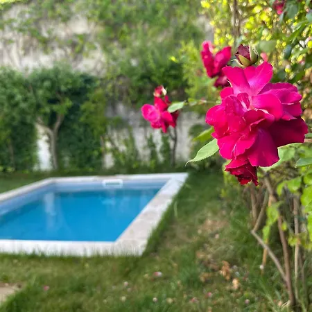 בית נופש Countryside Retreat With Pool Arrabida Park *