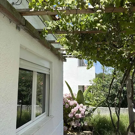 Countryside Retreat With Pool Arrabida Park